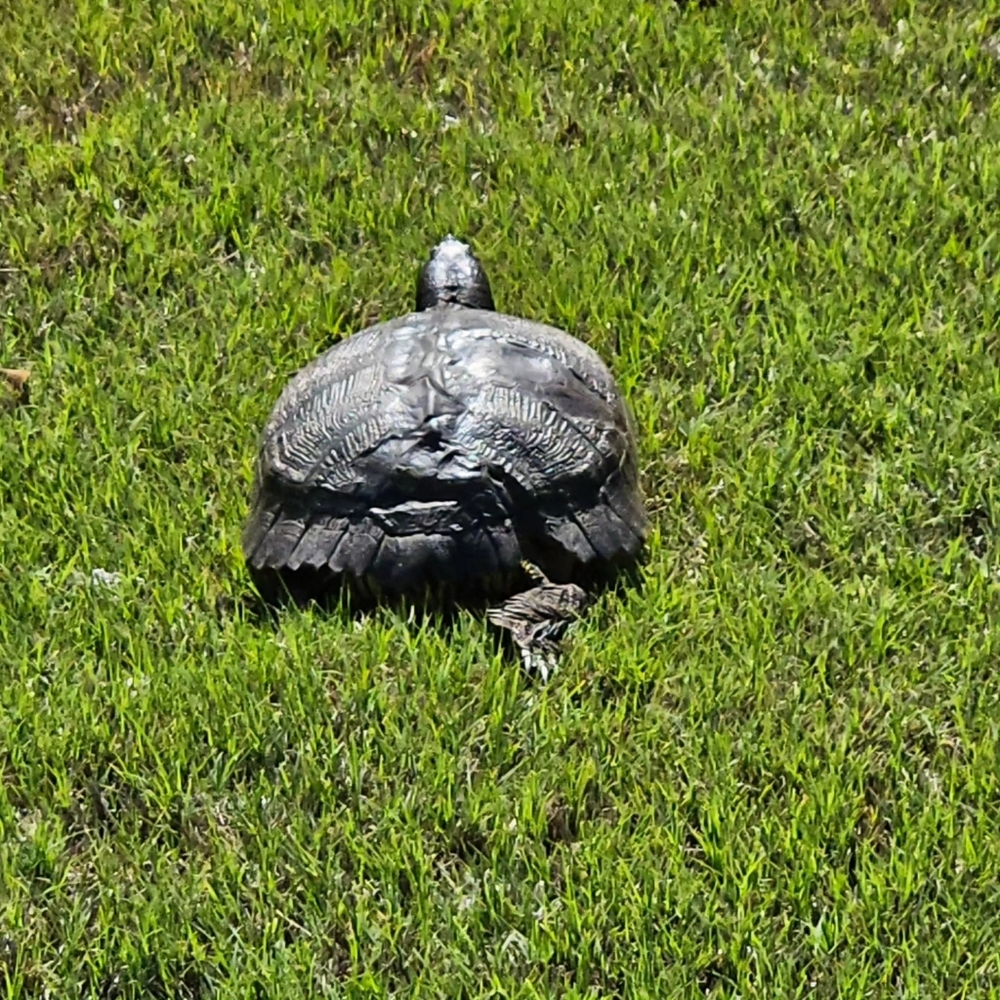 Extra shipping label